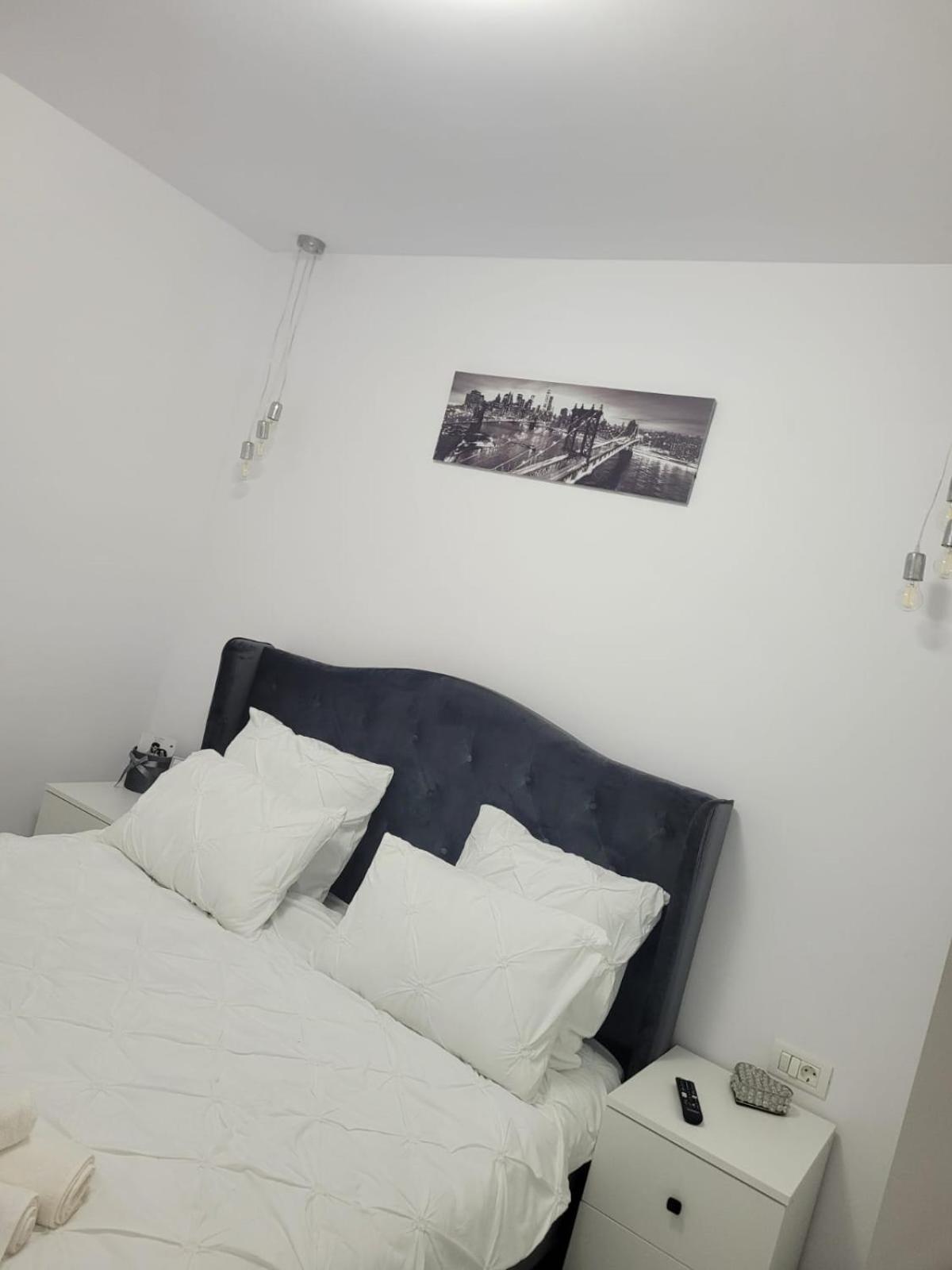 Tag Apartament Timişoara Buitenkant foto